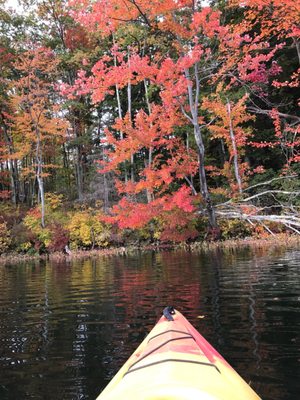 Kayaking on the lake