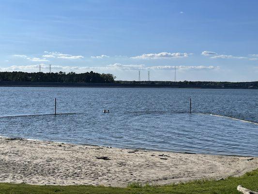 Beach/swimming area