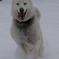 We have outside play time even in the snow.