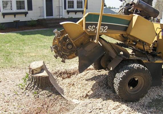 Stump Grinding