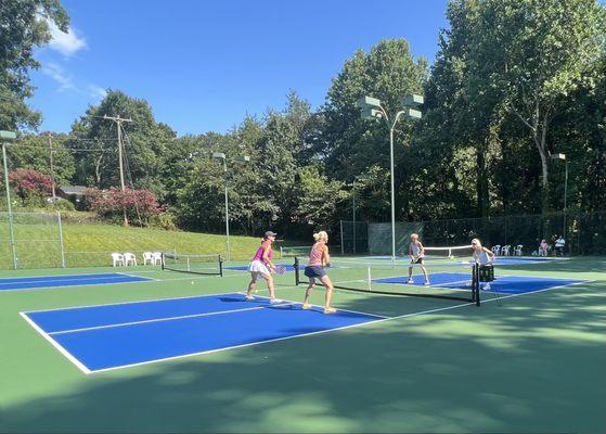 Pickleball clinic with certified instructor