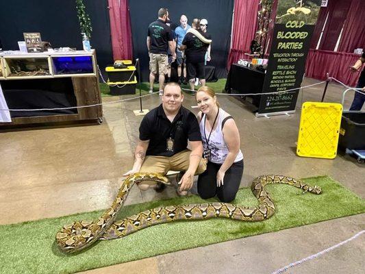 Queenie the Reticulated python is always a show stopper!