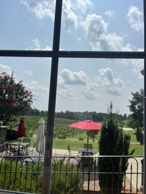 View from Tasting Room