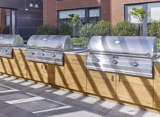 Gas grills