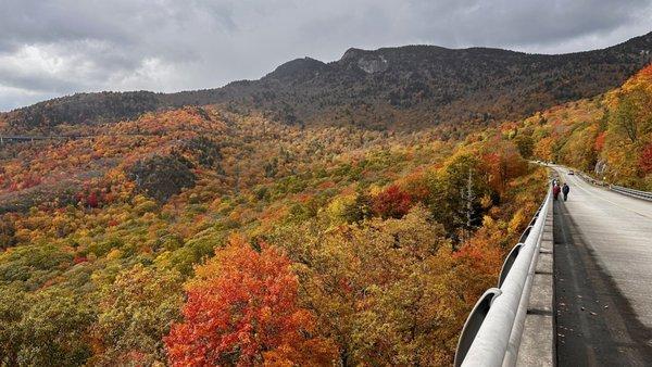 Fall Colors Blowing Rock