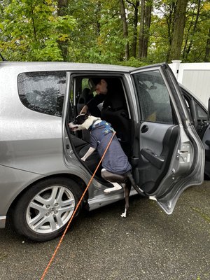 Helping Gilbert overcome his fear of cars.