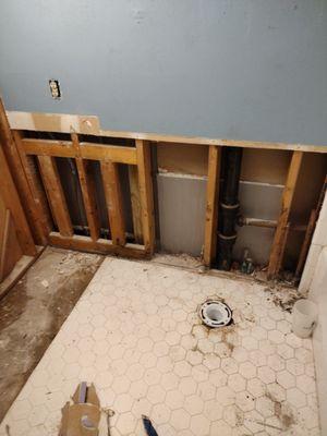 Bathroom tear down.