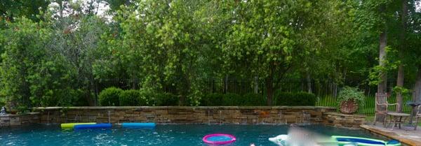 Photo of our 3 Bottlebrush trees taken on June, 6, 2015. Middle tree is full, green and alive!