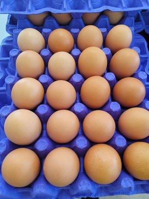 Freshly laid extra large eggs. Orders available for pickup or delivery.