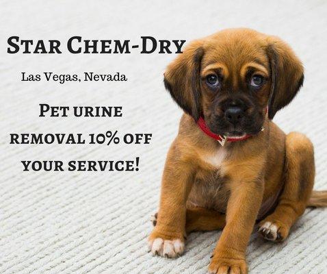 Star Chem-Dry