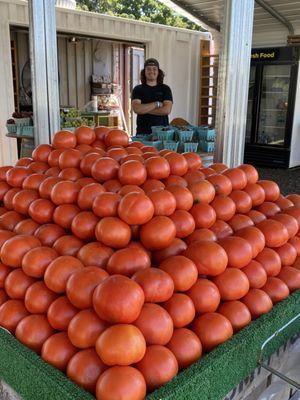 Delicious tomatoes