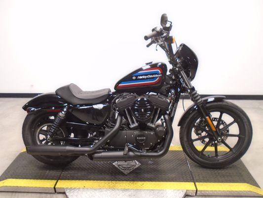 2020 Harley Sportster 1200 Iron. 70s graphics.