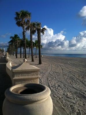 Along the Boardwalk