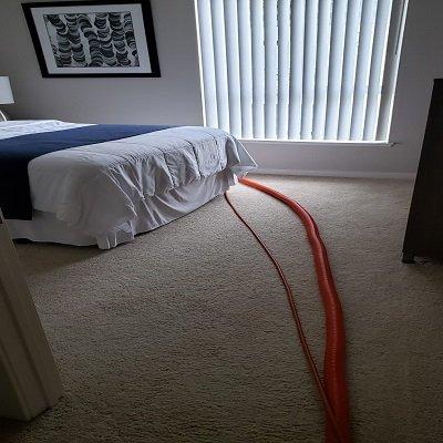 Xtreme Carpet Cleaning Laguna Beach