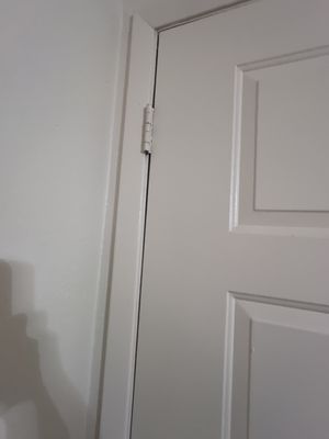 Every hinge on every door of this apartment is painted over pure laziness