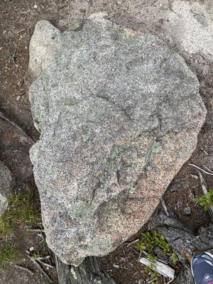 I just loved the colors and textures of this large rock