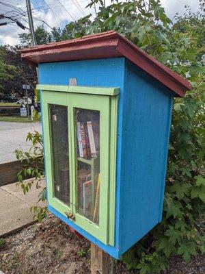 Little Free Library, Saluda