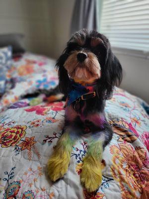 Full Groom with Bath