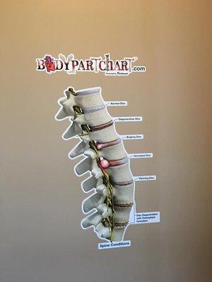 Dryer Chiropractic