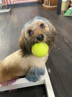 Mowgli posing pretty with his favorite toy