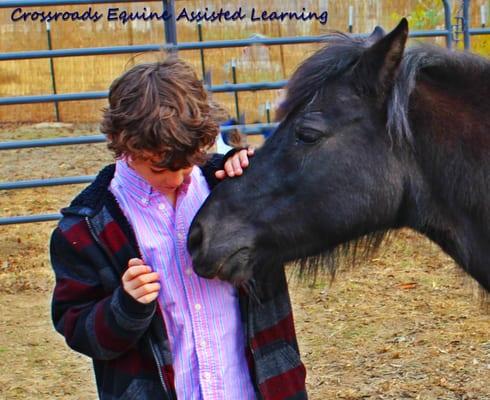 Crossroads Equine Assisted Learning