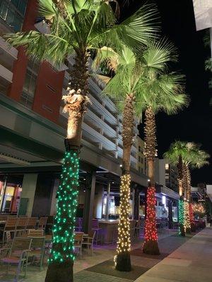 Lit up palm tress, Renovated covered outdoor Courtyard, Kennedy Grand Central, Channelside, Downtown Tampa