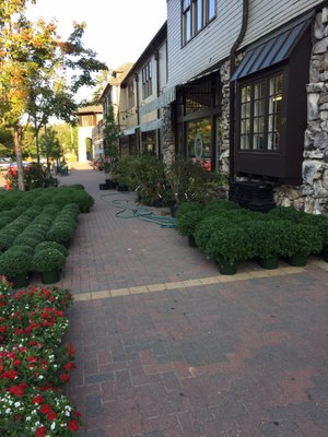 They always have tons of seasonal flowers and plants for sale.