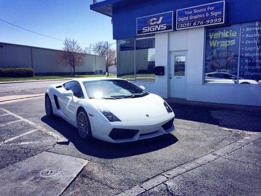 Lamborghini Murcielago Window Tint