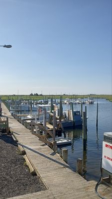 Cape Horn Marina