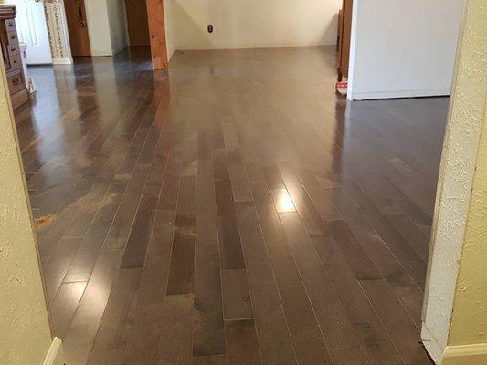 Hardwood floor installation in Winter Garden, Florida