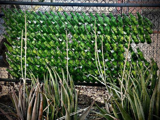 Glass Bottle Art