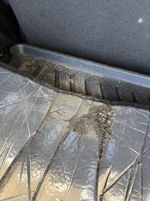 Dirt in the trunk.