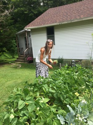 Picking green beans in my garden.