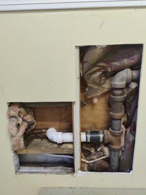 The white PVC was all that needed to be replaced, contrary to what Modern Plumbing and Backflow stated.