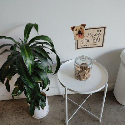 Puppy station with free dog snack