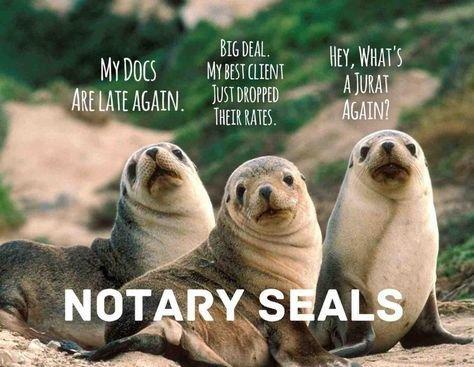 Heather Nicole Notary