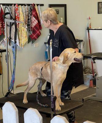 Pawfection Pet Grooming