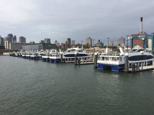 Ferries at rest