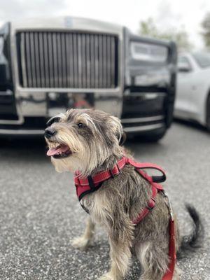 Kush in front of a Rolls Royce