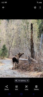 Chugach State Park