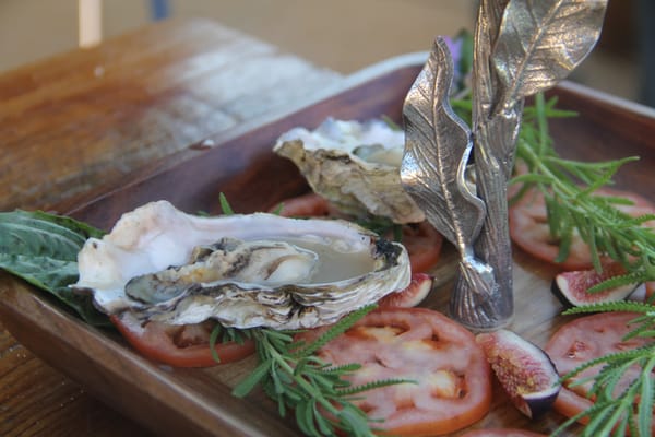 Grilled Oysters! A great Appetizer by NVC