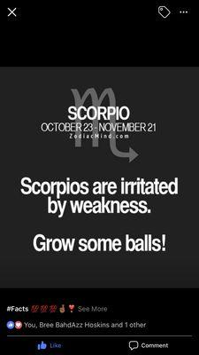 photo of Scorpio S.