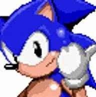 photo of Sonic H.