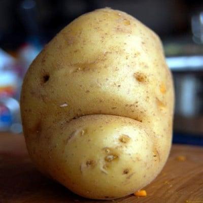 photo of Potato B.