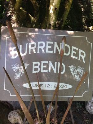 photo of Surrender B.