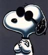 Photo of Snoopy B.