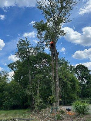 Howell Tree Care