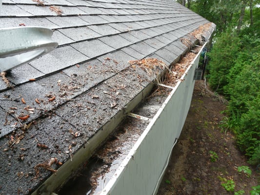 Not all gutter guards work