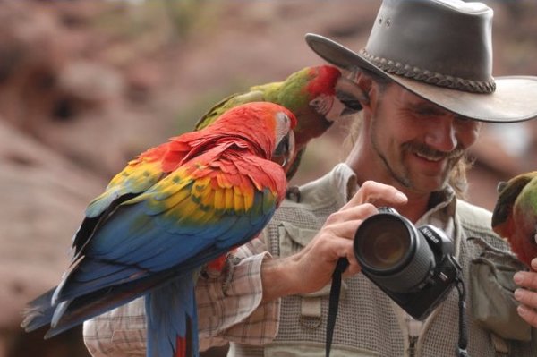 Freeflight and Parrot Training