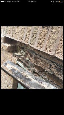 Severely rusted & warped steel lintels (about 12) above large windows. Causing leaks and severe cracks throughout the rest of the building.